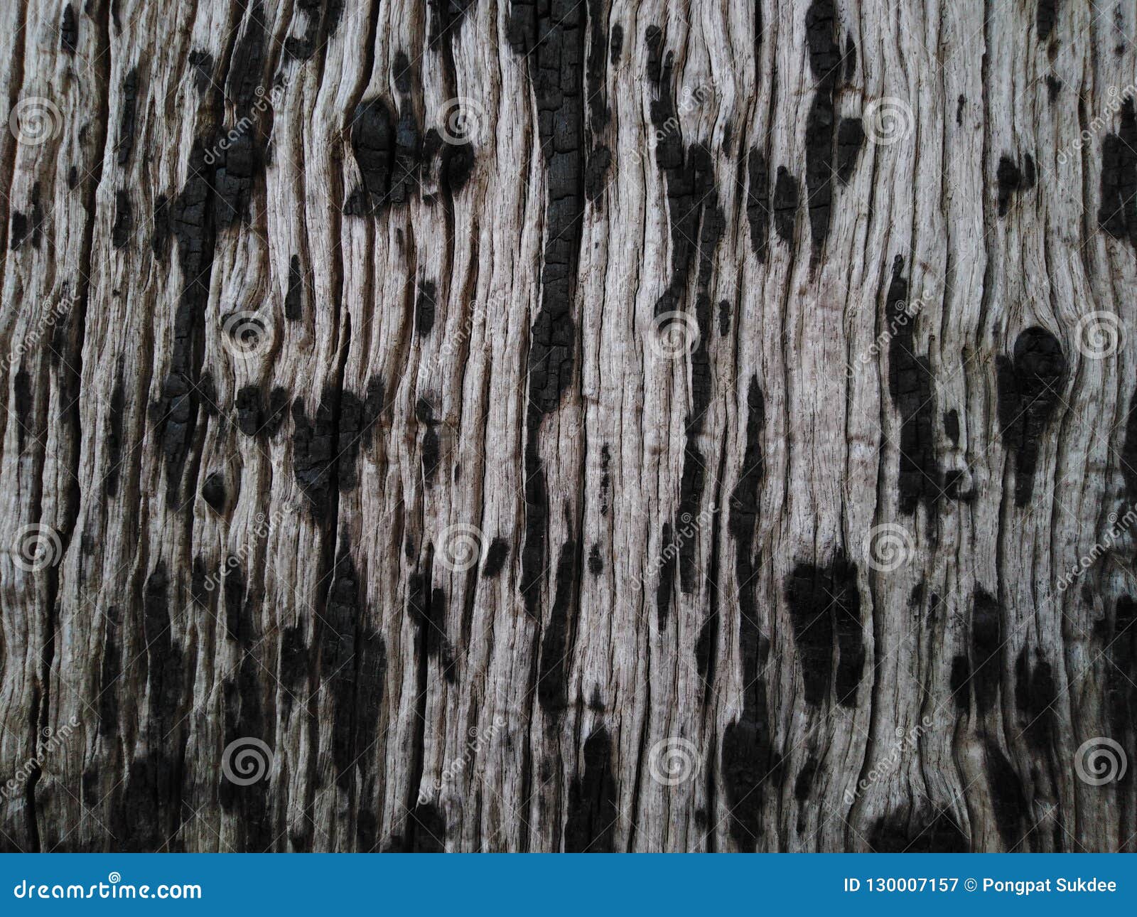 oldÃ¢â¬â¹ woodÃ¢â¬â¹ textureÃ¢â¬â¹